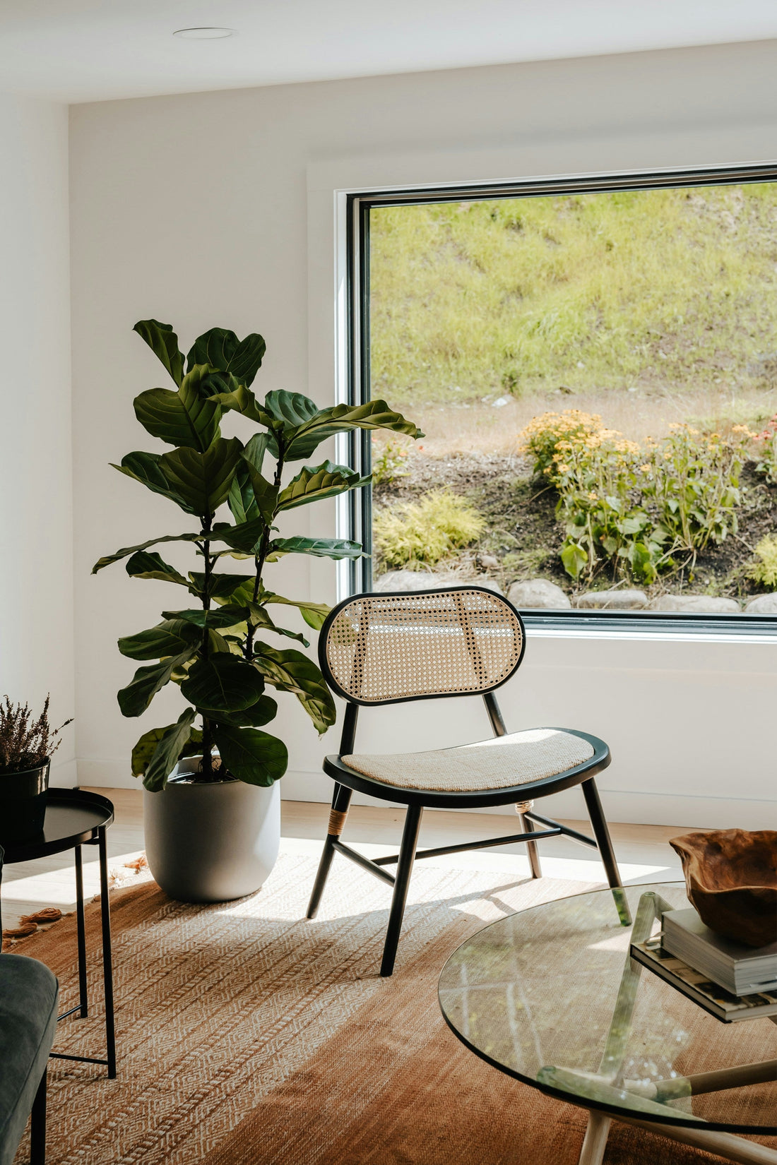 The Benefits of Washable Rugs for Apartment Living