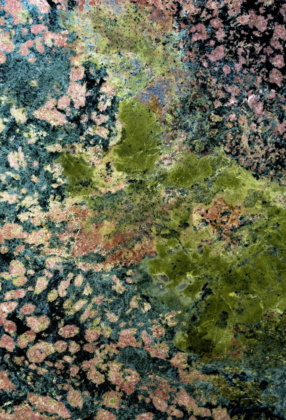 How Vintage Floral Rugs Create a Cozy Farmhouse Style
