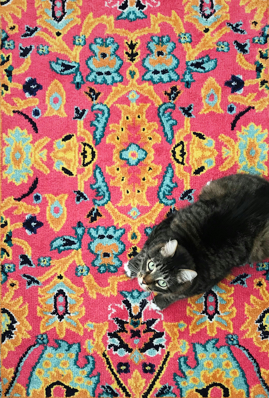 Why Washable Area Rugs Are Perfect for Busy Homes