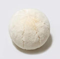 MOJUN Plush Ball Pillow, Round Throw Pillow Home Decoration Floor Pillow Cushion, Sphere Pillow for Chair Couch Sofa Bedroom Gift (13.77inch, White)
