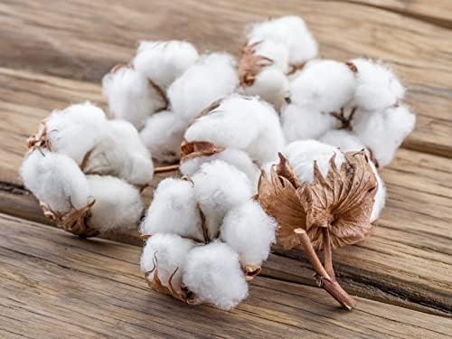 Royal Blue Wrap Around Bed Skirts with 16" Drop - Three Sides Fabric Adjustable Elastic Dust Ruffle Silky Soft -600 TC Stretchy Bed Skirt-Short Queen(60"X 75") Royal Blue