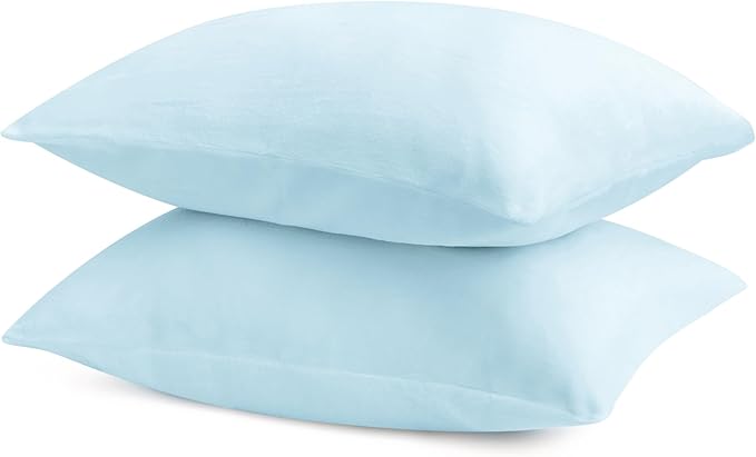 BEDELITE Flannel Pillowcases Standard Set of 2, Super Soft Fleece Pillow Case Cover with Zipper for Bedroom, Sofa, Couch,Luxury Cozy Fuzzy Velvet Pillow Shams for All Seasons(20x26 Inches, Blue)