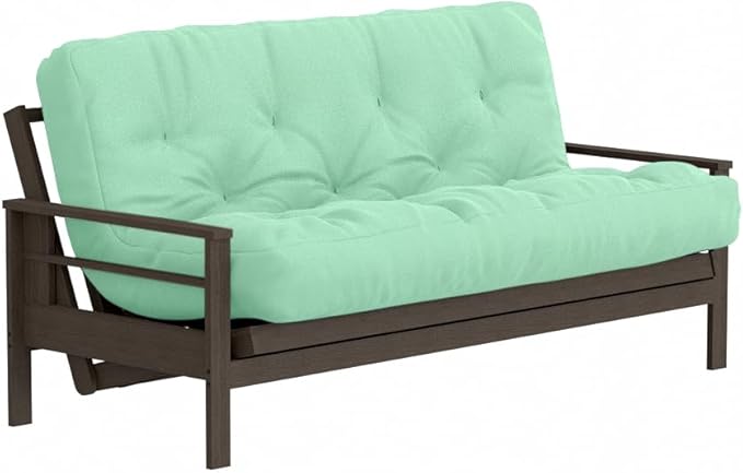 Royal Sleep Products by The Futon Factory 6 inch Foam Futon Mattress - Solid Mint Cover - Queen Size - CertiPUR Certified Foams - Made in USA - Replacement Mattress - (Frame not Included)