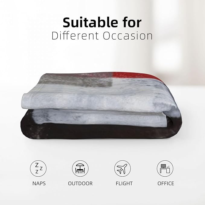 LOKMU Throw Blanket, Red Grey Abstract Art Painting Ultra-Soft Cozy Flannel Blankets, Fuzzy Plush Lightweight Modern Blanket for Couch Sofa Bedding Home Decor, 80" L x 60" W