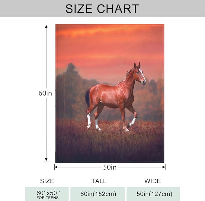 Sunset Horse Throw Blanket for Couch, Super Soft Fuzzy Throws Warm Comfortable Plush Fleece Blanket, Fashion Decorative Flannel Fleece Blanket for All Season(50 x 60 in, Horse & Sunset)