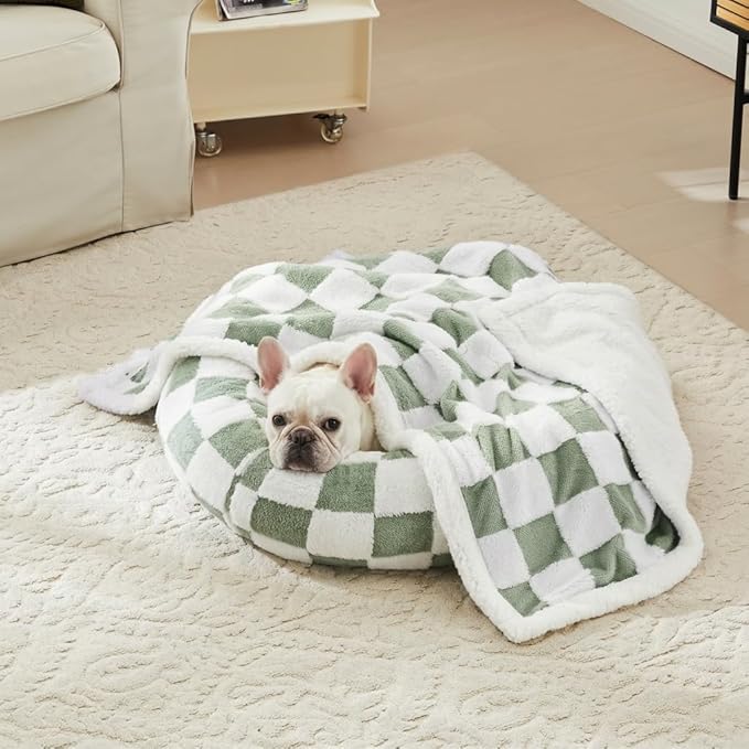 Checkered Dog Blanket, Sage Green Jacquard Sherpa Blankets for Small Dog and Cats, Cute Aesthetic Style Fluffy Fleece Pets Blanket for Couch Protection Washable, 30"x40"