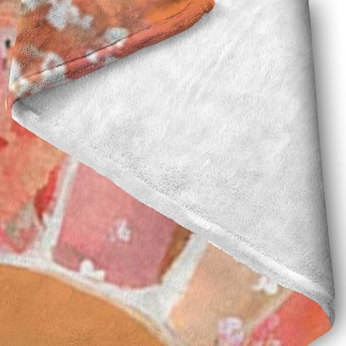 Orange Boho Sun Throw Blanket 40Wx50H Inch Bohemian Minimalist Art Boys Girls Abstract Colorful Flower Aesthetic Blankets Warm Fuzzy Throw Blanket for Sofa Bed Throws Birthday Presents