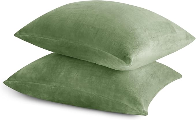 BEDELITE Flannel Pillow Cases Queen Size Set of 2, Super Soft Fleece Pillowcases with Zipper for Bedroom, Sofa, Couch,Luxury Cozy Velvet Pillow Shams for All Seasons(20x30 Inches,Sage Green)