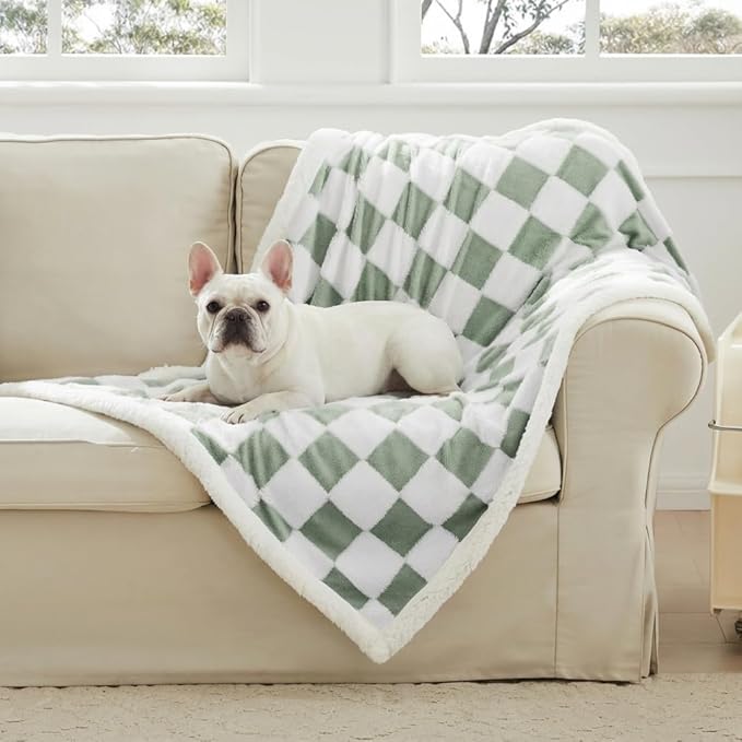 Checkered Dog Blanket, Sage Green Jacquard Sherpa Blankets for Small Dog and Cats, Cute Aesthetic Style Fluffy Fleece Pets Blanket for Couch Protection Washable, 30"x40"