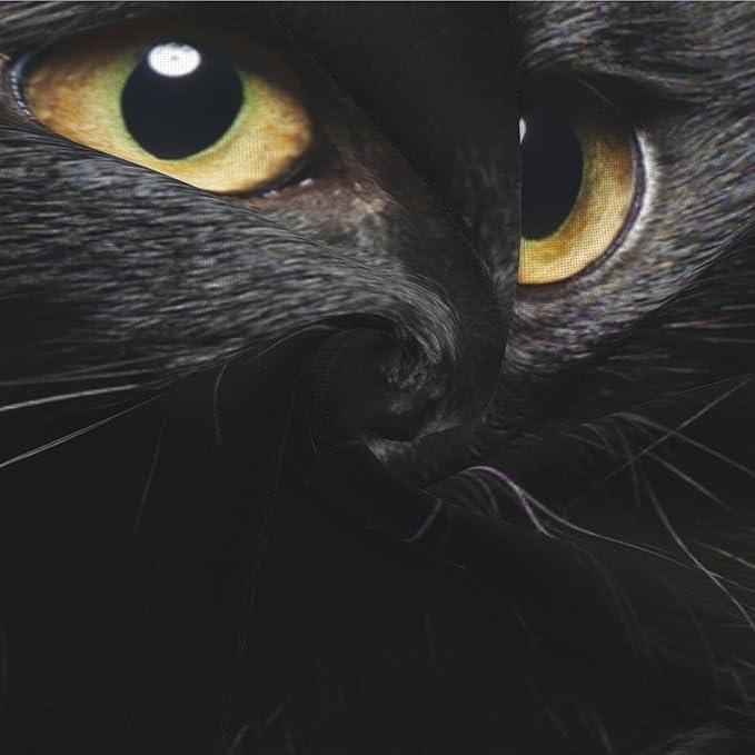 Black Cat Throw Pillow Covers Decorative Linen Pillow Cases Set of 2 Square Cushion Cover for Couch Sofa Bedroom Patio 18x18 Inch