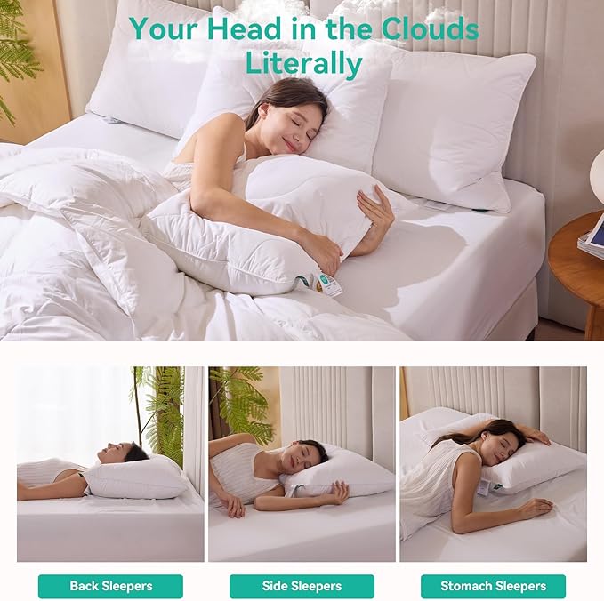 Three Geese White Goose Feather Down Pillows King Size Set of 1-100% Cotton, Medium Firm,Soft Support