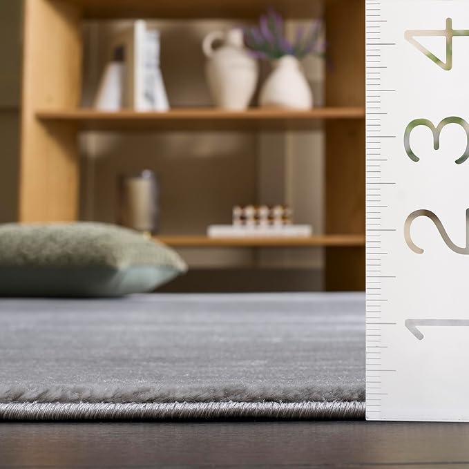 SAFAVIEH Vision Collection Area Rug - 4' Square, Silver, Modern Ombre Design, Non-Shedding & Easy to Clean, Ideal for Living Room, Bedroom, Dining Space (VSN606G)