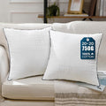 Phantoscope 20x20 Pillow Inserts, Decorative Throw Pillow Inserts with 100% Cotton Jacquard Cover, Virgin Fiber Pillow Sham Stuffer, Square Couch Cushion Pillows, Pack of 2, 20x20 Inch