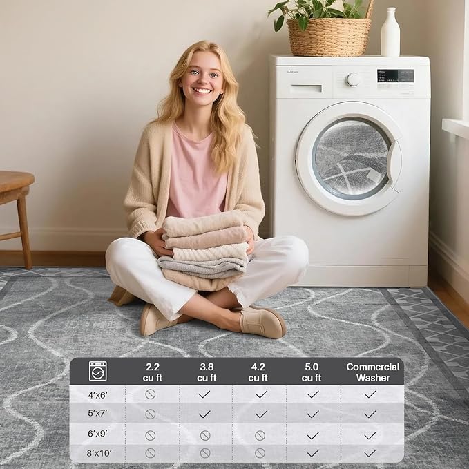 4x6 Area Rugs for Living Room Bedroom, Machine Washable Low Pile Rugs, Non Slip Modern Bordered Print Indoor Carpet for Entryway Office Dining Room Dorm Home Decor,Light Grey