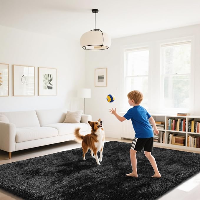 Fluffy Rug Shaggy Area Rug, Black 2x4 Area Rugs for Bedroom, Small Bedside Rug, Soft Fluffy Shaggy Entryway Throw Rugs for Living Room Bedroom Kids Room Home Decor