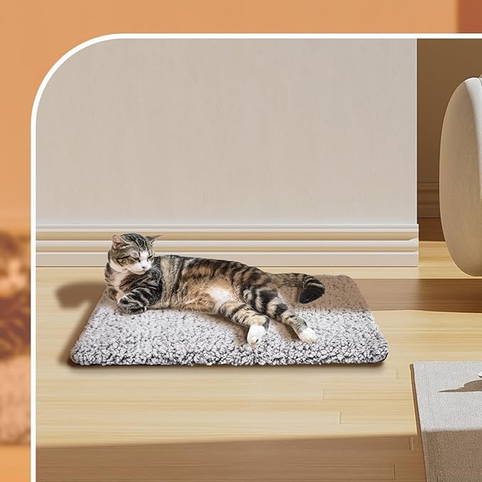 Nobleza Self Heating Cat Bed, Super Soft Thermal Dog Crate Bed Mat for Sleeping, Washable Anti-Slip Self Warming Pet Kennel Pad for Small Medium Cats Dogs Indoor Outdoor (LightGray, M)