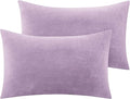 BEDELITE Flannel King Size Pillow Cases Set of 2, Super Soft Fleece Pillowcases with Zipper for Bedroom, Sofa, Couch,Luxury Cozy Fuzzy Velvet Pillow Shams for All Seasons(20x36 Inches,Lavender)