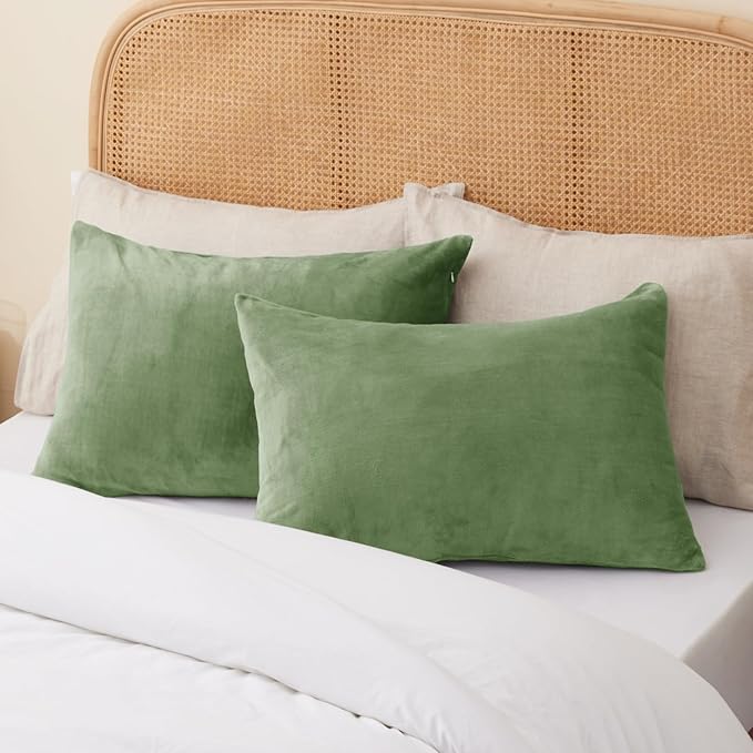 BEDELITE Flannel Pillowcases Standard Set of 2, Super Soft Fleece Pillow Case Cover with Zipper for Bedroom, Sofa, Couch,Luxury Cozy Velvet Pillow Shams for All Seasons(20x26 Inches, Sage Green)