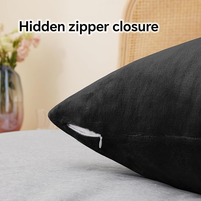 BEDELITE Flannel Pillow Cases Queen Size Set of 2, Super Soft Fleece Pillowcases with Zipper for Bedroom, Sofa, Couch,Luxury Cozy Fuzzy Velvet Pillow Shams for All Seasons(20x30 Inches,Black)