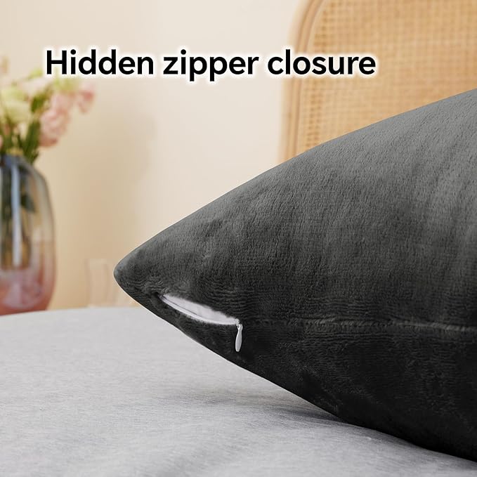BEDELITE Flannel Pillow Cases Queen Size Set of 2, Super Soft Fleece Pillowcases with Zipper for Bedroom, Sofa, Couch,Luxury Cozy Velvet Pillow Shams for All Seasons(20x30 Inches,Dark Gray)