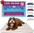 Pet Dreams Dog Crate Pad - Washable Kennel Mat, Crate Pads for Dog Cages, Non-Toxic, Flat Indoor Cat Bed, Fits iCrate 18, 24, 30, 36, 42, 48 Inches (Ivory, Small, 24")