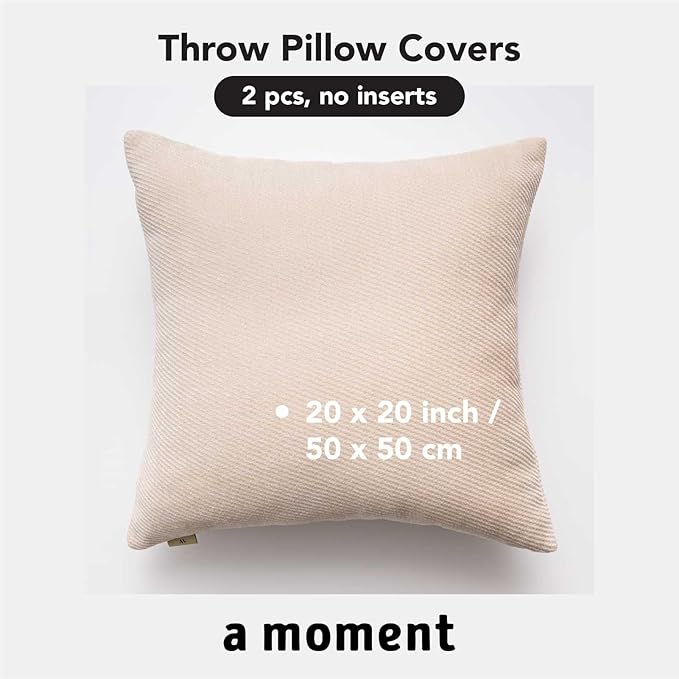 a moment Pack of 2 Decorative Chenille Throw Pillow Covers with Twill Cushion Covers for Sofa Living Room Couch Bed 20x20 Inch Beige