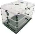 EarlyGrow 95457 24" x 15" x 16.75" Domed Propagator, Green, 3 Side Extenders and Locking Clip Set