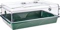 EarlyGrow 93774 Domed Propagator, 1 Height Extender, Green