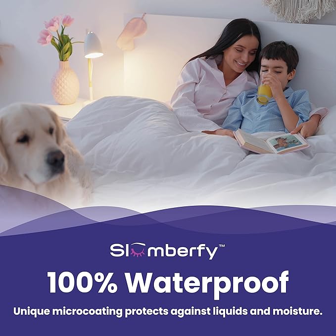 Queen Size Waterproof Bamboo Mattress Encasement by Slumberfy - Premium Skin-Safe Mattress Protector with 360° EZ Zipper, Lab-Tested Bed Bug, Zippered Encasement (60x80 in)