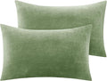 BEDELITE Flannel Pillow Cases Queen Size Set of 2, Super Soft Fleece Pillowcases with Zipper for Bedroom, Sofa, Couch,Luxury Cozy Velvet Pillow Shams for All Seasons(20x30 Inches,Sage Green)