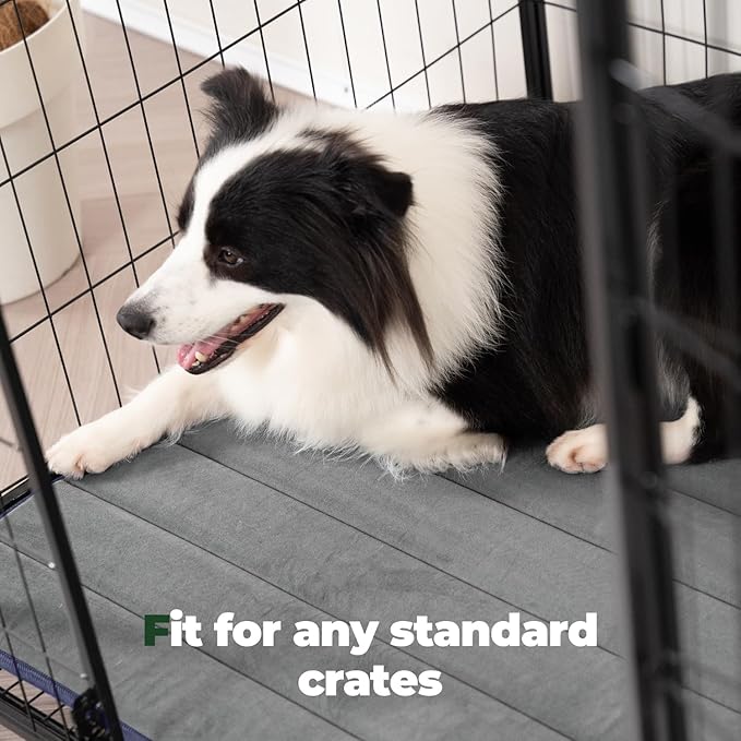 BALANCE Dog Crate Pad, Dog Foam Crate Mat Kennel Pad, Washable Water-Resistant Pet Bed Flat Dogs Cage Mat for Small Dogs, 2 Packs