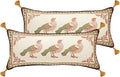 Rectangle Throw Pillow Covers Pack of 2,Velvet Farmhouse with Birds Pattern Pillowcases,Decor Long Lumbar Pillows Cushion Covers for Couch Sofa Bed Car Chair,12"x28"