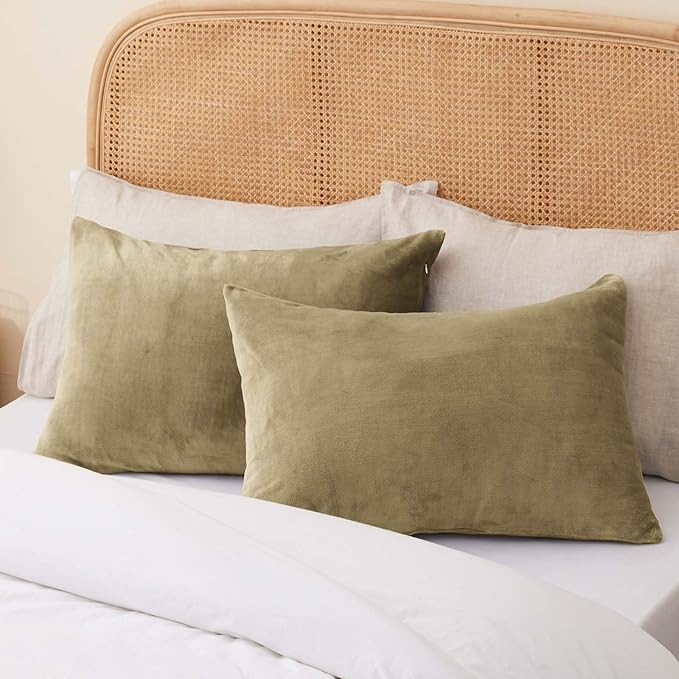 BEDELITE Flannel Pillow Cases Queen Size Set of 2, Super Soft Fleece Pillowcases with Zipper for Bedroom, Sofa, Couch,Luxury Cozy Fuzzy Velvet Pillow Shams for All Seasons(20x30 Inches,Camel)