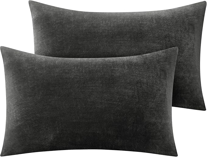 BEDELITE Flannel Pillow Cases Queen Size Set of 2, Super Soft Fleece Pillowcases with Zipper for Bedroom, Sofa, Couch,Luxury Cozy Velvet Pillow Shams for All Seasons(20x30 Inches,Dark Gray)