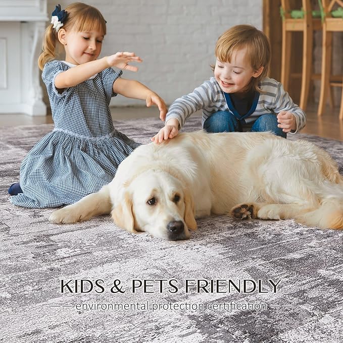 Abstract Living Room Rug 9x12 - Modern Washable Soft Thin Area Rug for Living Room Bedroom Under Dining Table - Neutral Indoor Floor Rug Carpets for Home Office Playroom Nursery - Grey