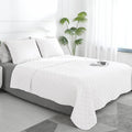 Easy-Going Queen Plus Size Reversible Quilt Set with 1 Quilt and 2 Pillow Shams, Soft Bed Quilt Cover, Water Resistant Lightweight Microfiber Bedspread, Stain Resistant, White/White
