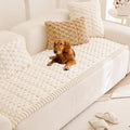 Mivnue Pet Couch Cover, Couch Covers for Dogs, Washable Dog Sofa Covers Couch Protector, Fuzzy Non Slip Couch Slipcover Pet Friendly