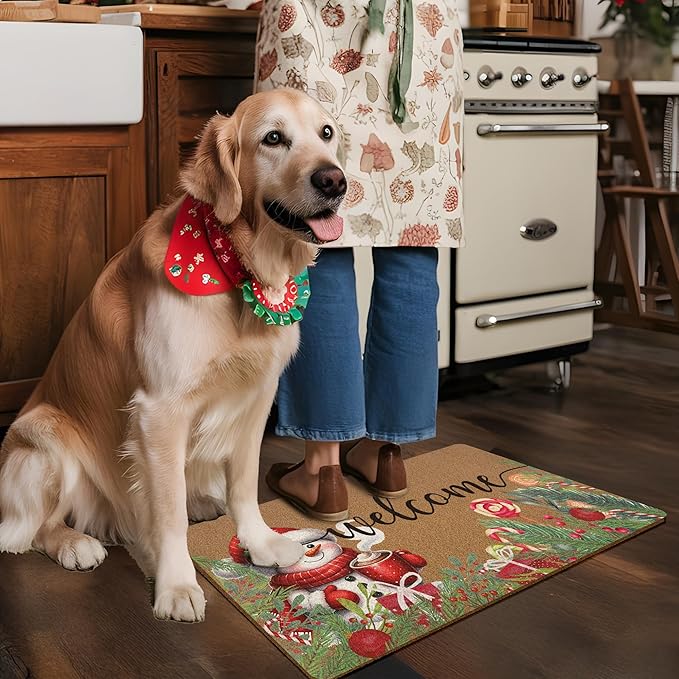Christmas Snowman Door Mat, Winter Welcome Doormat, Christmas Holiday Welcome Front Door Mat Indoor Outdoor Entrance, Xmas Botanical Artificial Coir Doormats Rugs for Porch Entryway 30x17in