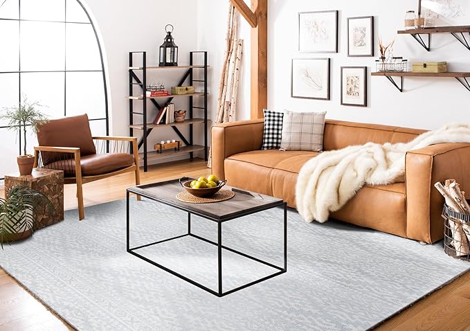SAFAVIEH Area Rug 9x12 - Tulum Collection - Large - Light Grey & Ivory, Moroccan Boho Tribal Design, Non-Shedding & Easy to Clean, Ideal for Living Room, Bedroom, Dining Space (TUL272F)
