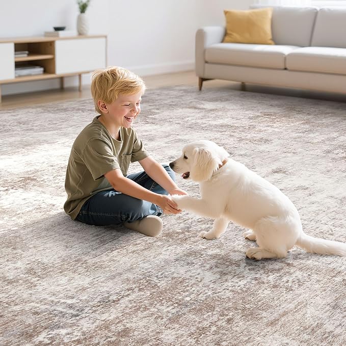 Washable 6X9 Area Rug: Modern Abstract Soft Non-Slip Indoor Rugs Home Decor - Low Pile Stain Resistant Foldable Rug for Living Room Bedroom Dining Room Playroom Office(Brown,6'X9')