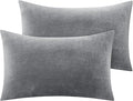 BEDELITE Flannel Pillow Cases Queen Size Set of 2, Super Soft Fleece Pillowcases with Zipper for Bedroom, Sofa, Couch,Luxury Cozy Fuzzy Velvet Pillow Shams for All Seasons(20x30 Inches,Gray)