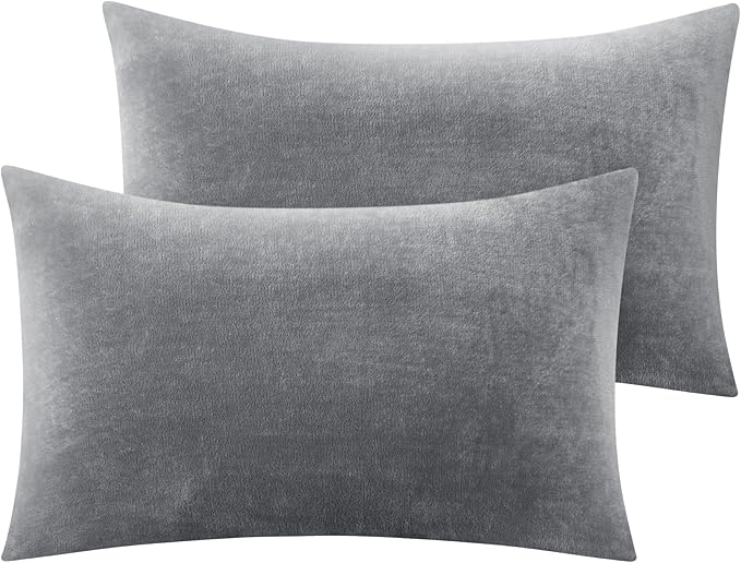 BEDELITE Flannel Pillow Cases Queen Size Set of 2, Super Soft Fleece Pillowcases with Zipper for Bedroom, Sofa, Couch,Luxury Cozy Fuzzy Velvet Pillow Shams for All Seasons(20x30 Inches,Gray)