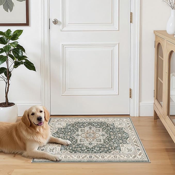 Vintage Living Room Area Rug 3x5 - Large Soft Washable Oriental Traditional Distressed Farmhouse Rugs for Bedroom - Indoor Floor Accent Carpet for Home Office House Decor - Vintage Green