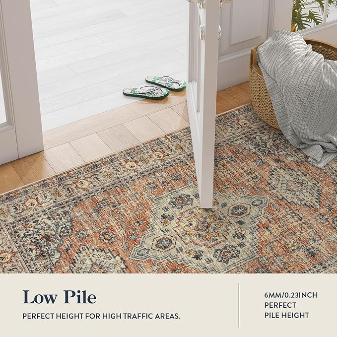 Lahome Oriental Door Mat Indoor Entrance, 2x3 Washable Fall Indoor Rugs for Entryway Soft Small Kitchen Rugs Non Slip Ultra-Thin, Vintage Door Mat Carpet for Bedroom Bathroom, Peach/Orange