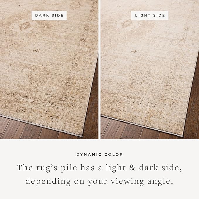 Loloi Chris Loves Julia Palma Collection PLM-06 Natural/Smoke 6'-3" x 9'-6" Fringe Area Rug Vintage Style Boho Living Room Bedroom Carpet
