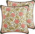 Square Throw Pillow Covers Pack of 2,Brown Cozy Velvet Farmhouse with Daisy and Leaves Floral Pattern Pillowcases,Decoration Pillows Cushion Covers for Couch Sofa Bed Car Chair,18"x18"