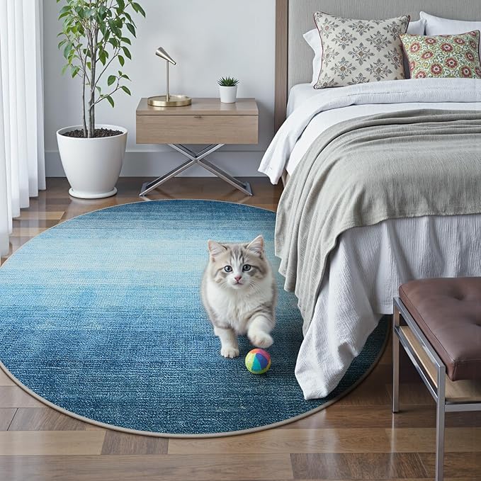 Wonnitar Modern Ombre Washable Round Rugs 5ft, Blue Round Living Room Rug, Soft Circle Bedroom Area Rug, Non-Slip Contemporary Low Pile Large Throw Carpet for Nursery Dining Room (Blue, Round 5ft)