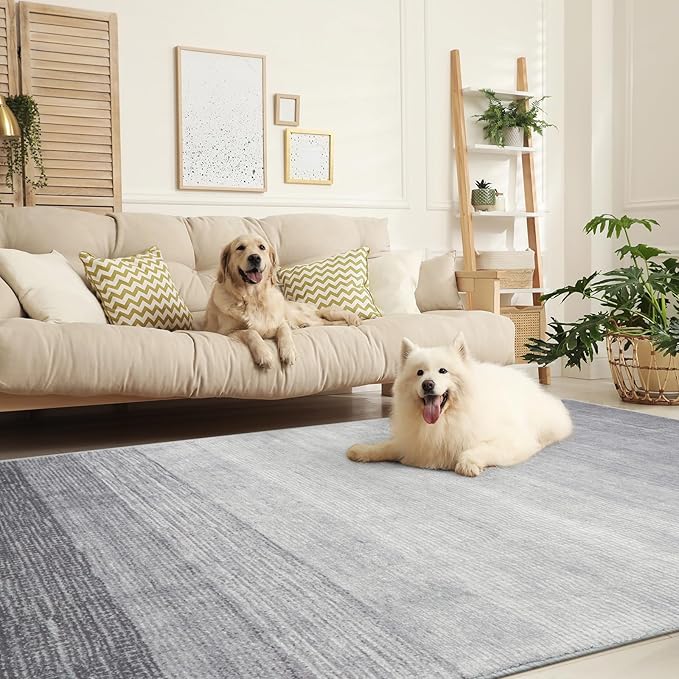 Wonnitar Modern Ombre Washable 8x10 Rug, Non-Slip Soft Grey Area Rugs for Living Room, Non-Shedding Large Bedroom Rug, Gradient Ultra-Thin Stain Resistant Floor Carpet for Dining Table (Grey, 8'x10')