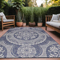 Medallion Outdoor Rug 9x12 Washable Outside Carpet for Indoor Patio Porch Waterproof Easy Cleaning Non Shedding Area Rugs Blue 9 x 12
