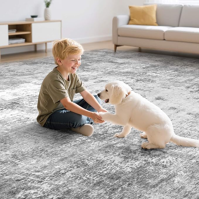 Washable 5X7 Area Rug: Modern Abstract Soft Non-Slip Indoor Rugs Home Decor - Low Pile Stain Resistant Foldable Carpet for Living Room Bedroom Dining Room Playroom Office(Grey,5'x7')